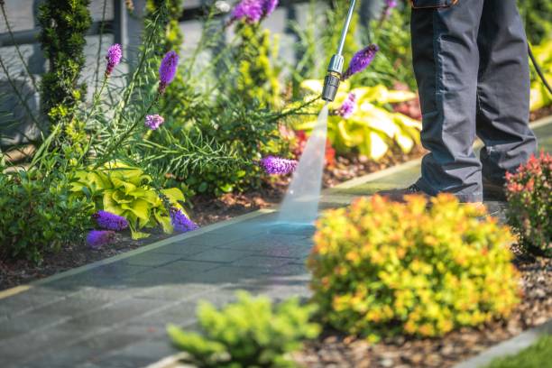 South Pasadena, FL Pressure Washing Services Company